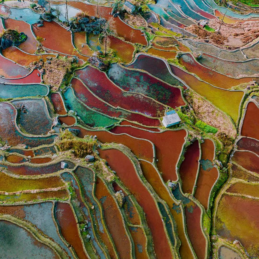 Nature’s Color Palette  - Yuanyang Guangxi