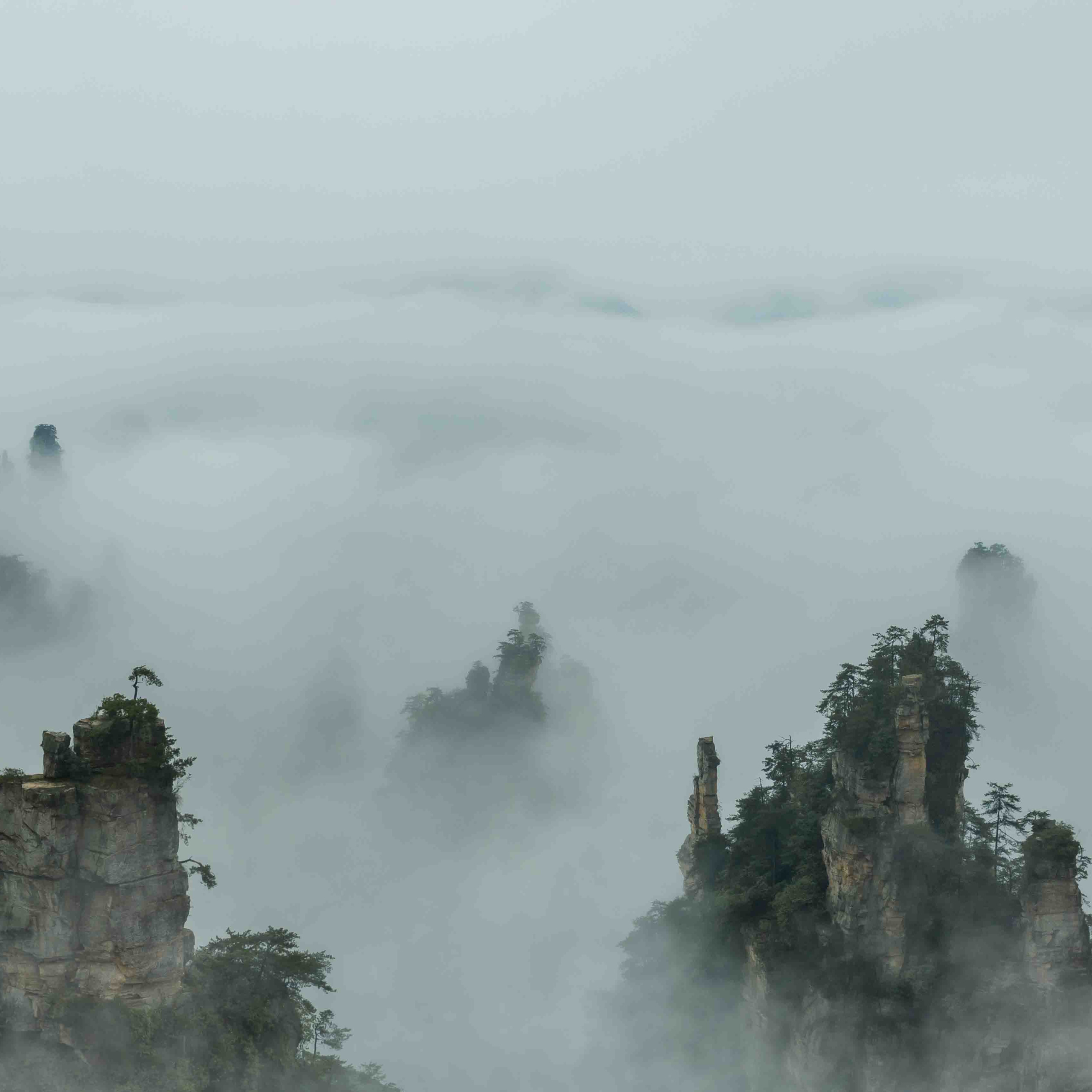 Sea of Clouds Landscape- Zhangjiajie Hunan