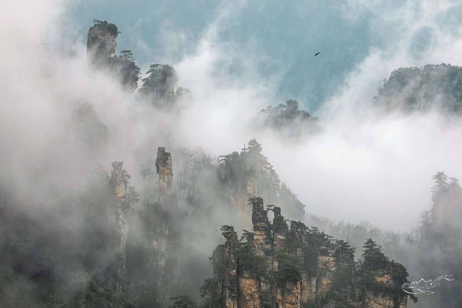 Zhangjiajie CloudSea 張家界雲海